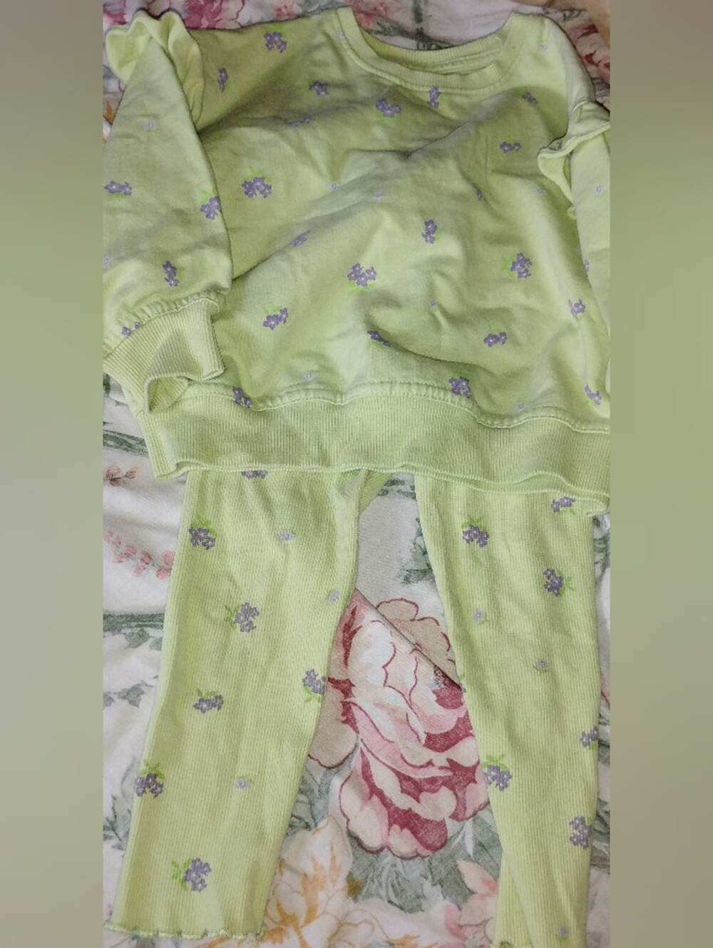 Toddler Girls Light Green Floral Matching Sweater & Pants Set with Lilac Accents